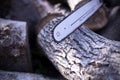 Chainsaw. Chainsaw tire chain. Cuts wood. Wood harvesting Royalty Free Stock Photo