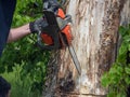 Chainsaw. Close-up of adult man with woodcutter sawing chain saw in motion, sawdust fly to sides. Chop and saw down