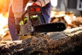 Chainsaw. Close-up of woodcutter sawing chain saw Royalty Free Stock Photo