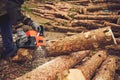 Chainsaw. Close-up of woodcutter sawing chain saw in motion, sawdust fly to sides. Concept bring down trees. Royalty Free Stock Photo