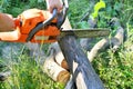 Chainsaw cut wooden logs