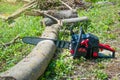 Chainsaw cuts a log on a background of green grass. Sharp teeth.