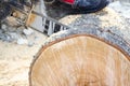 The chainsaw cuts wood. The log is large. The saw cut is wooden.