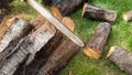 Chainsaw cuts wood slow motion
