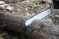 Chainsaw cutting trunk Royalty Free Stock Photo