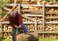 Chainsaw cutting trunk Royalty Free Stock Photo