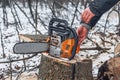 Chainsaw in forest on stump Royalty Free Stock Photo