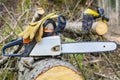 Chainsaw and gloves on tree