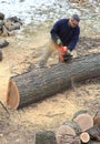 Chainsaw Ground Work Royalty Free Stock Photo
