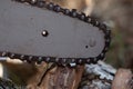 Chainsaw with an iron chain saws wood