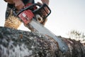 Chainsaw in lumberjack hands. Professional lumberjack sawing a big tree using chainsaw