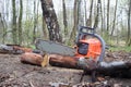 Chainsaw lying on ground near dry sawn Royalty Free Stock Photo