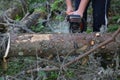 Chainsaw Royalty Free Stock Photo