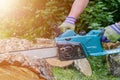 Chainsaw. Chainsaw in move cutting wood. Man cutting wood with saw. Dust and movements. Close-up of woodcutter sawing chain saw. Royalty Free Stock Photo