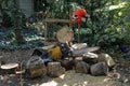 Chainsaw with protective gloves and helmet at woodwork place