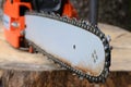 Chainsaw on the stump Royalty Free Stock Photo