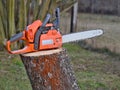 Chainsaw on a stump