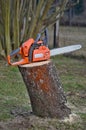 Chainsaw on a stump