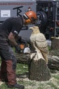 Chainsaw wood carving wood sculpture of an eagle