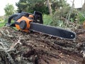 Chainsaw work Royalty Free Stock Photo
