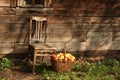 Chair and basketful of apples