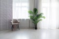 chair and green plant flower in a pot in a bright room interior Royalty Free Stock Photo