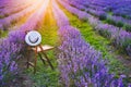 A chair with a hanged over hat between the blooming lavender rows under the summer sunset rays. Dream and relax concept. Royalty Free Stock Photo