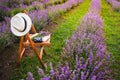 A chair with a hanged over hat, an open book, a retro camera and a bunch of lavender flowers between the blooming lavender rows un