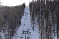 Chair lifts in Italian ski resort Sauze D\'Oulx rising through woodland