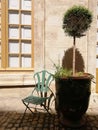 Chair near a plant in a pot in front of a building under the sunlight in Avignon in France Royalty Free Stock Photo