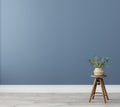 Chair with plant in empty living room interior, blue wall mock up background