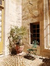 Chair and a plant in a pot near a building under the sunlight in Avignon in France Royalty Free Stock Photo