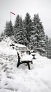 Chair and The Snow Royalty Free Stock Photo