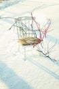 Chair in the snow, home office in winter Royalty Free Stock Photo