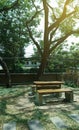 Chair under the shade of tree Royalty Free Stock Photo