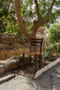 The chair under a tree