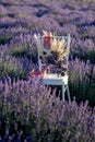 Chair with a wedding bouquet in the middle of a lavender field Royalty Free Stock Photo