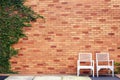 Chair wood with wall blick and tree plant on background. Royalty Free Stock Photo