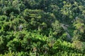 Chairlift ride climbing up a hill surrounded by nature