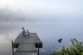 Chairs on a Dock Overlooking a Lake in the Early Morning Mist - Royalty Free Stock Photo