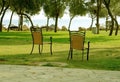 The chairs in the garden.