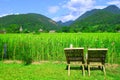 chairs Grassland and mountain Thailand