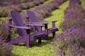 Chairs and lavender Royalty Free Stock Photo
