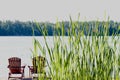 Chairs looking over beautiful lake view with tall grass