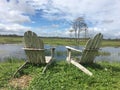 chairs looking at a swamp and a tree Royalty Free Stock Photo