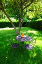 Chairs, table and garden Royalty Free Stock Photo