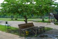 Chairs and tables under shady trees in the garden Royalty Free Stock Photo
