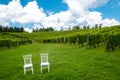 Chairs for the wedding in the vineyard Royalty Free Stock Photo