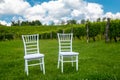 Chairs for the wedding in the vineyard Royalty Free Stock Photo
