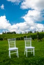 Chairs for the wedding in the vineyard Royalty Free Stock Photo